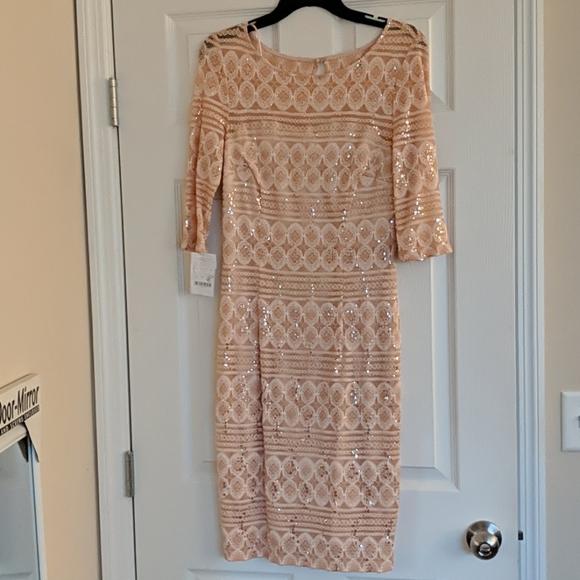 Jax Dresses & Skirts - Jax peach & cream shimmer dress